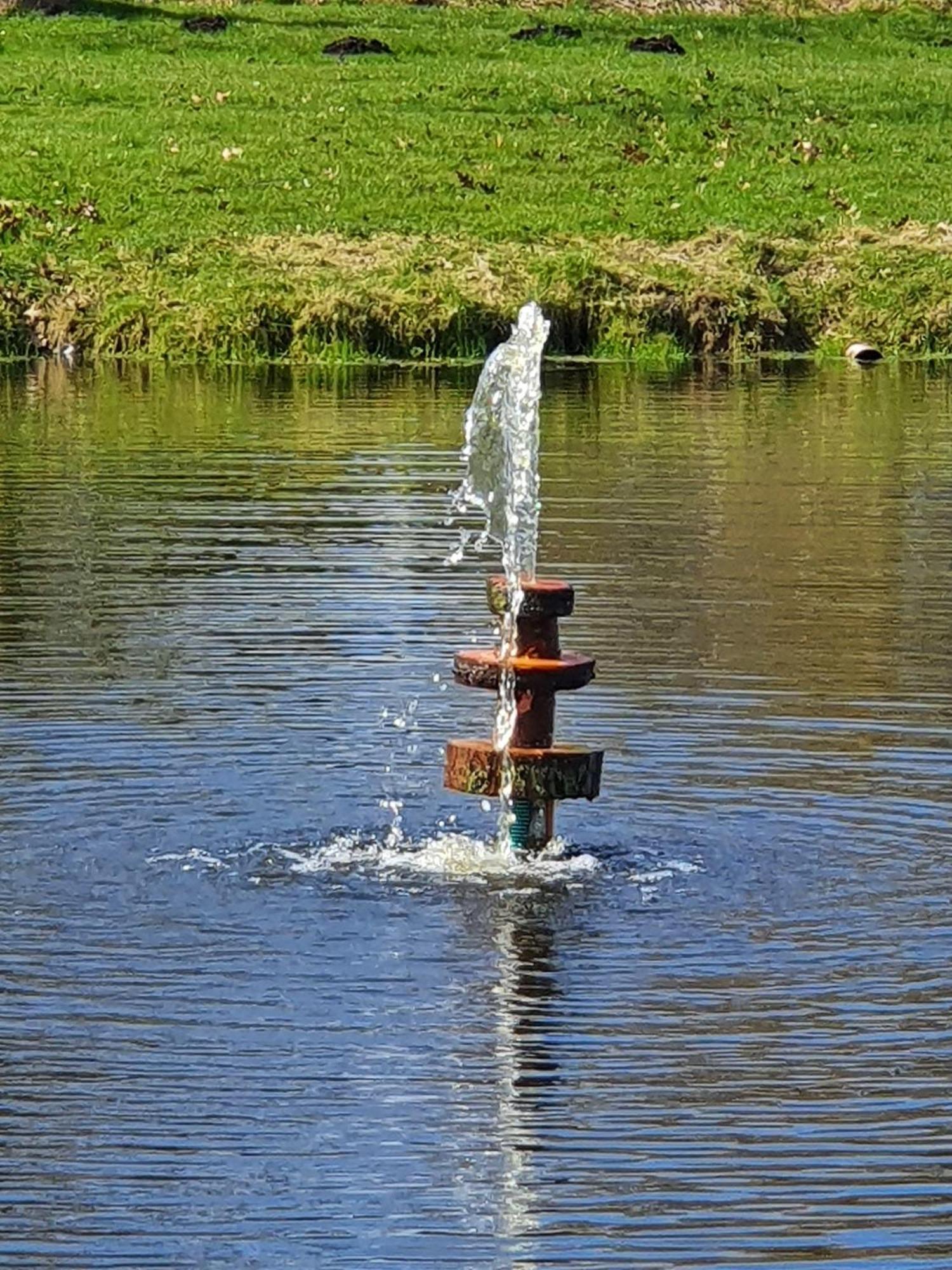 Idyllisches-Blockbohlenhaus-Mit-Eigenem-Garten-Und-Sauna-Zum-Wohlfuehlen Martensrade ภายนอก รูปภาพ
