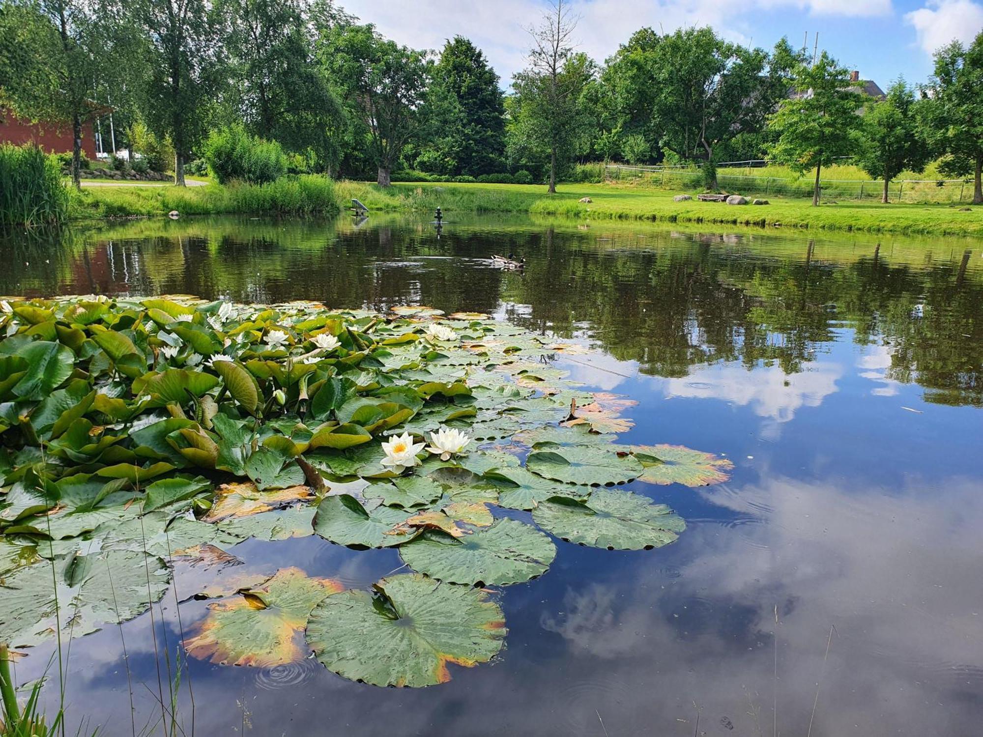 Idyllisches-Blockbohlenhaus-Mit-Eigenem-Garten-Und-Sauna-Zum-Wohlfuehlen Martensrade ภายนอก รูปภาพ